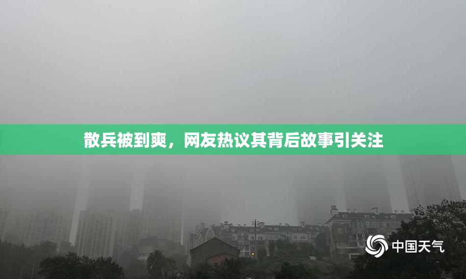 散兵被到爽，网友热议其背后故事引关注
