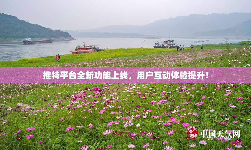 推特平台全新功能上线，用户互动体验提升！
