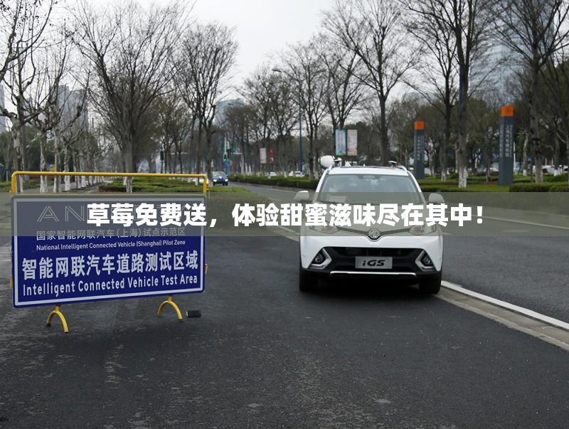 草莓免费送，体验甜蜜滋味尽在其中！