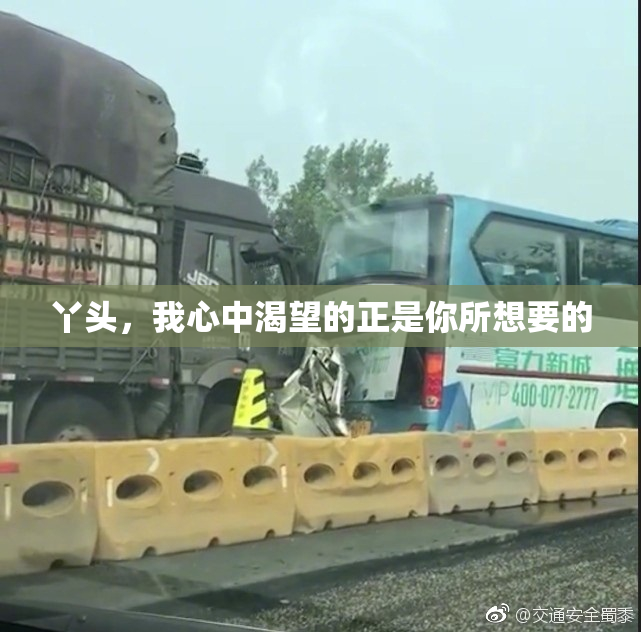 丫头，我心中渴望的正是你所想要的