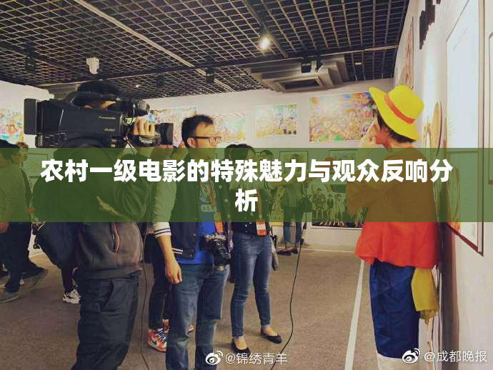 农村一级电影的特殊魅力与观众反响分析