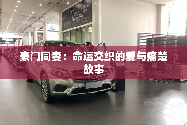 豪门同妻：命运交织的爱与痛楚故事