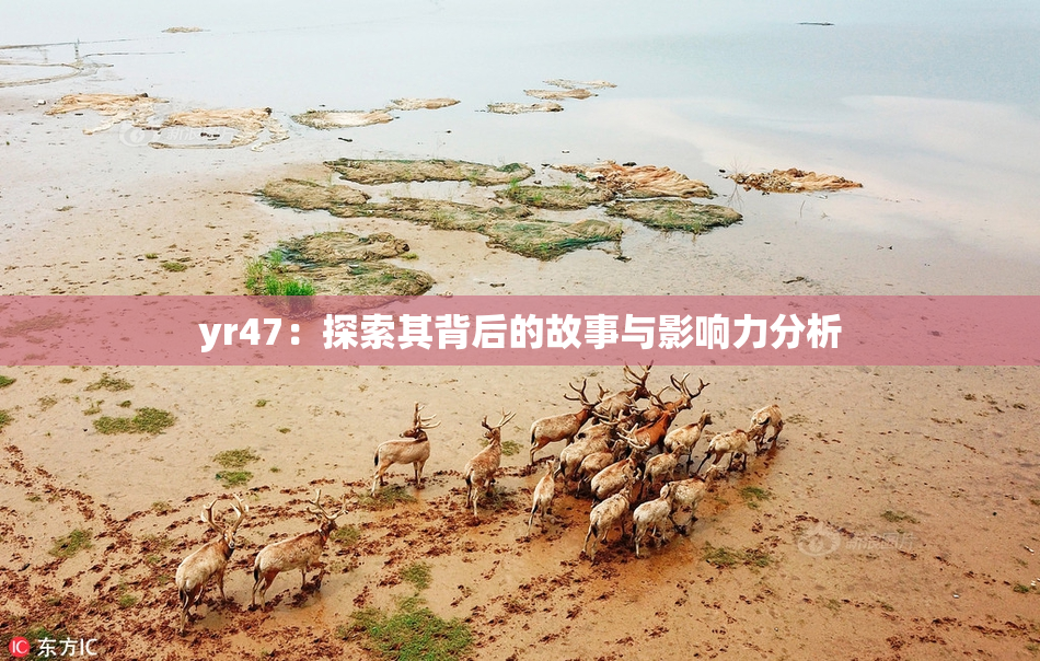 yr47：探索其背后的故事与影响力分析