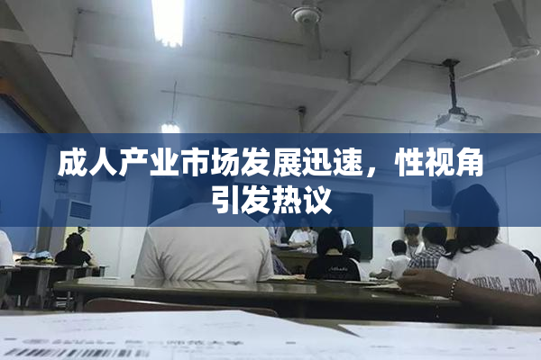 成人产业市场发展迅速，性视角引发热议