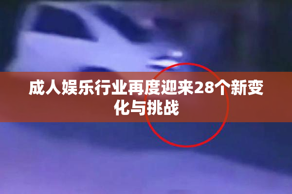 成人娱乐行业再度迎来28个新变化与挑战