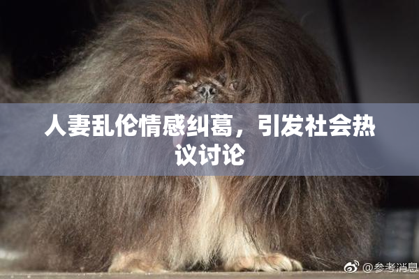 人妻乱伦情感纠葛，引发社会热议讨论