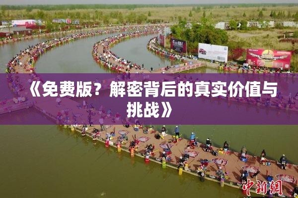 《免费版？解密背后的真实价值与挑战》