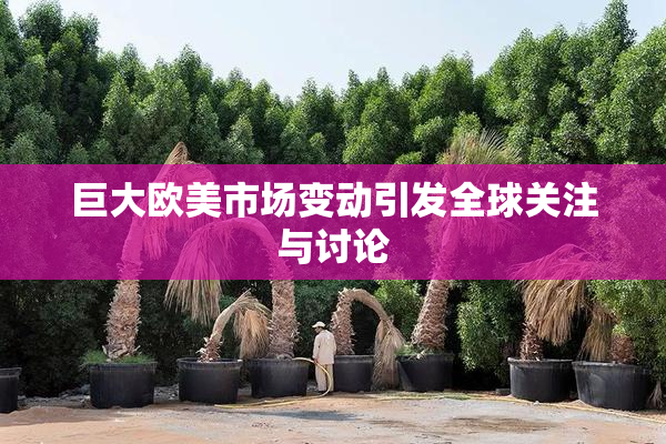 巨大欧美市场变动引发全球关注与讨论