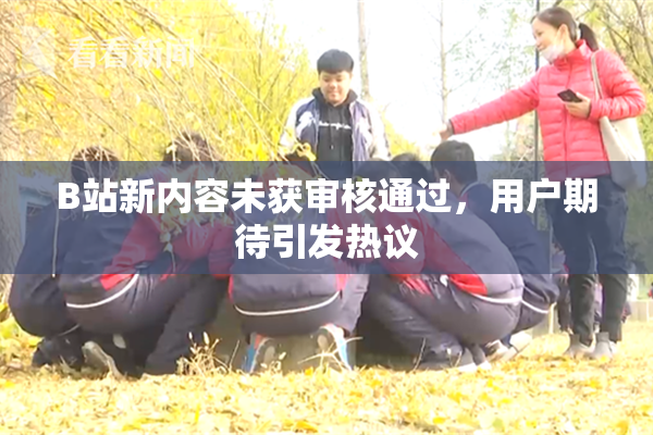 B站新内容未获审核通过，用户期待引发热议