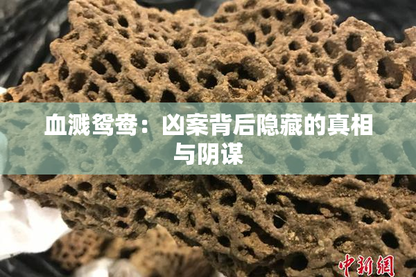 血溅鸳鸯：凶案背后隐藏的真相与阴谋
