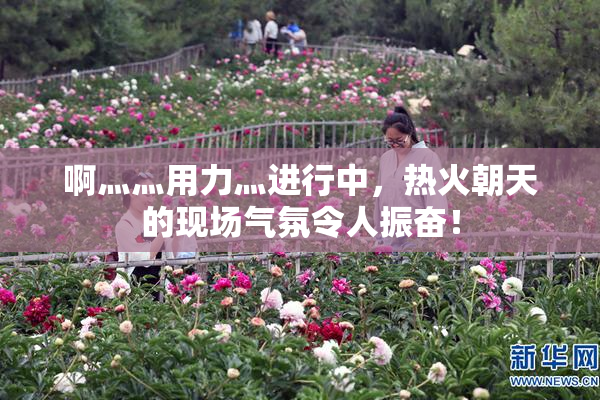 啊灬灬用力灬进行中，热火朝天的现场气氛令人振奋！