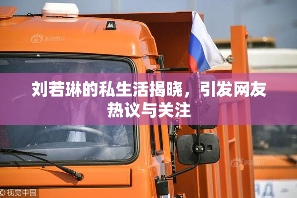 刘若琳的私生活揭晓，引发网友热议与关注