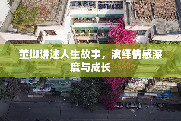 董卿讲述人生故事，演绎情感深度与成长