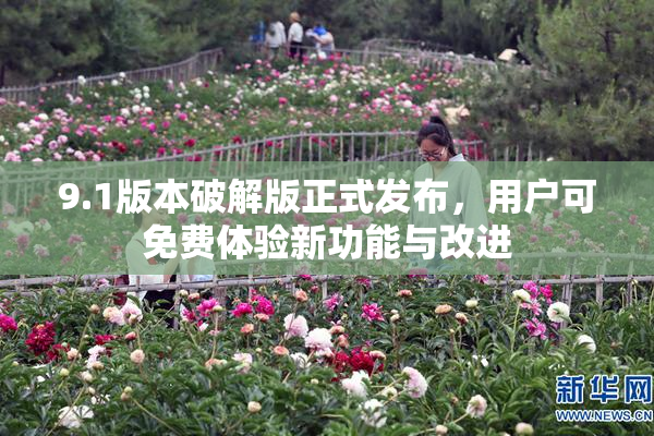 9.1版本破解版正式发布，用户可免费体验新功能与改进