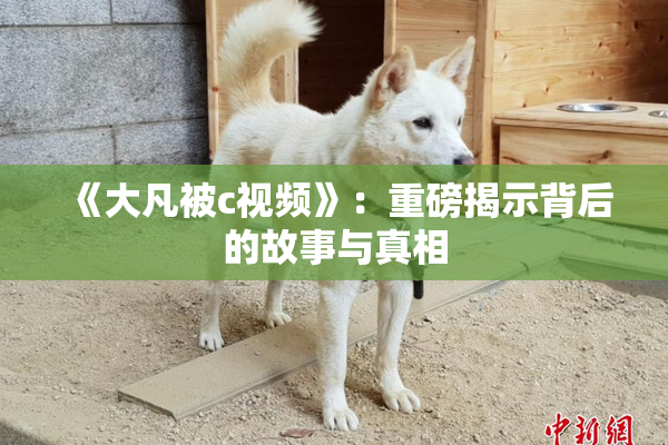 《大凡被c视频》：重磅揭示背后的故事与真相