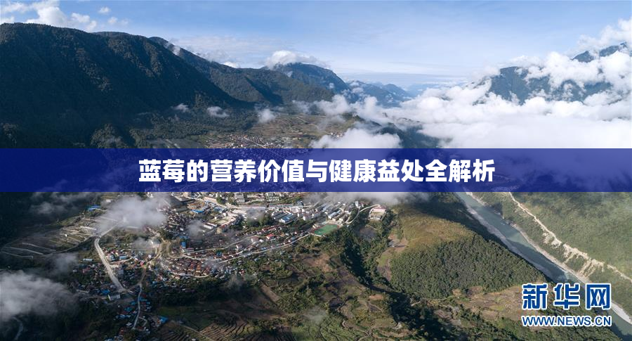 蓝莓的营养价值与健康益处全解析