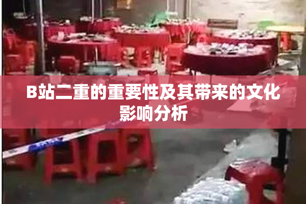 B站二重的重要性及其带来的文化影响分析
