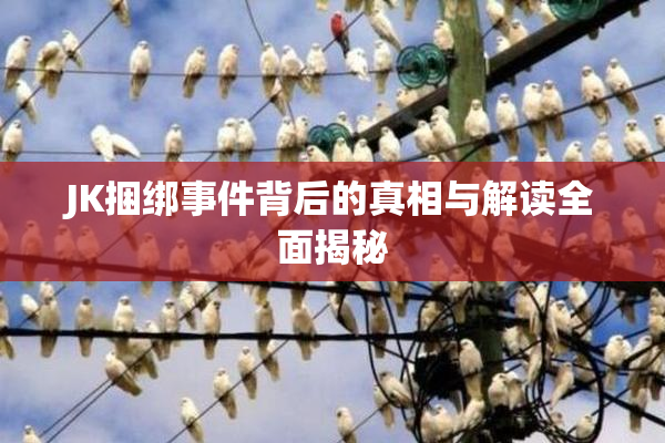 JK捆绑事件背后的真相与解读全面揭秘