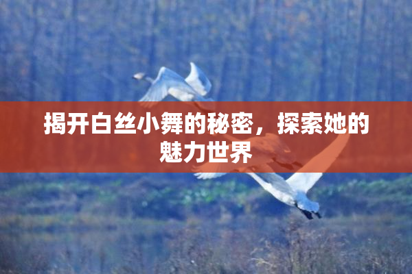 揭开白丝小舞的秘密，探索她的魅力世界