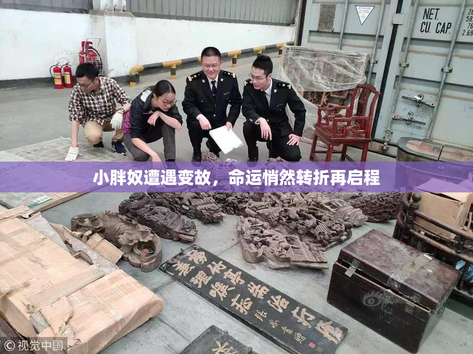 小胖奴遭遇变故，命运悄然转折再启程