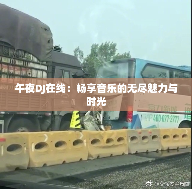 午夜DJ在线：畅享音乐的无尽魅力与时光