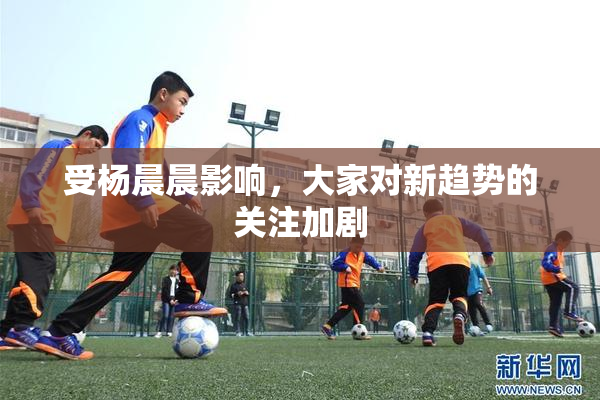 受杨晨晨影响，大家对新趋势的关注加剧