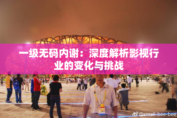 一级无码内谢：深度解析影视行业的变化与挑战