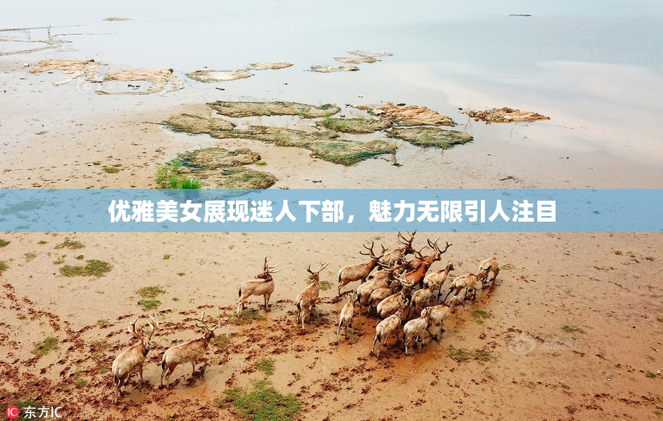 优雅美女展现迷人下部，魅力无限引人注目