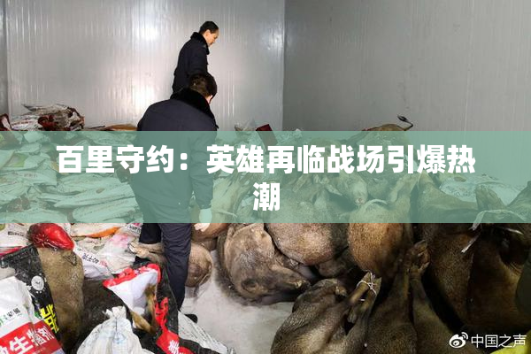 百里守约：英雄再临战场引爆热潮