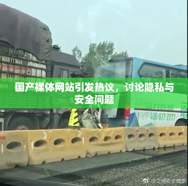 国产裸体网站引发热议，讨论隐私与安全问题