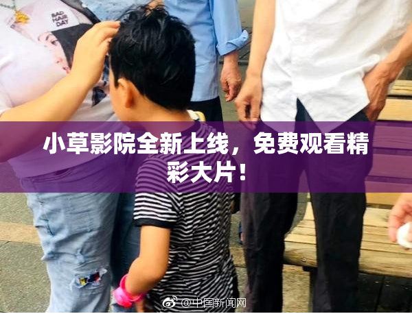 小草影院全新上线，免费观看精彩大片！