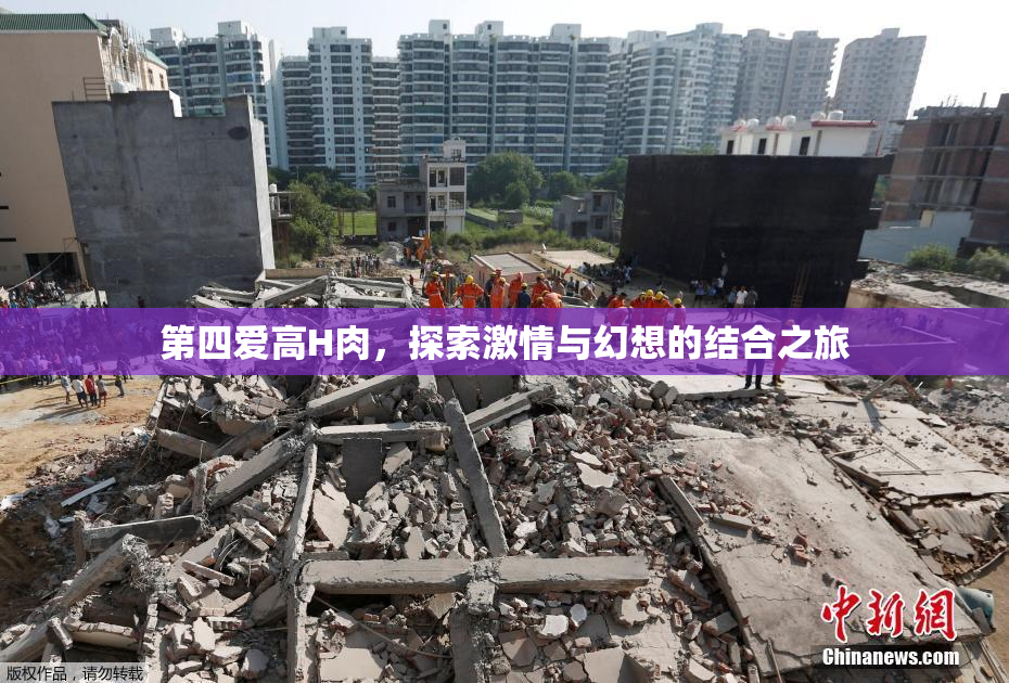 第四爱高H肉，探索激情与幻想的结合之旅