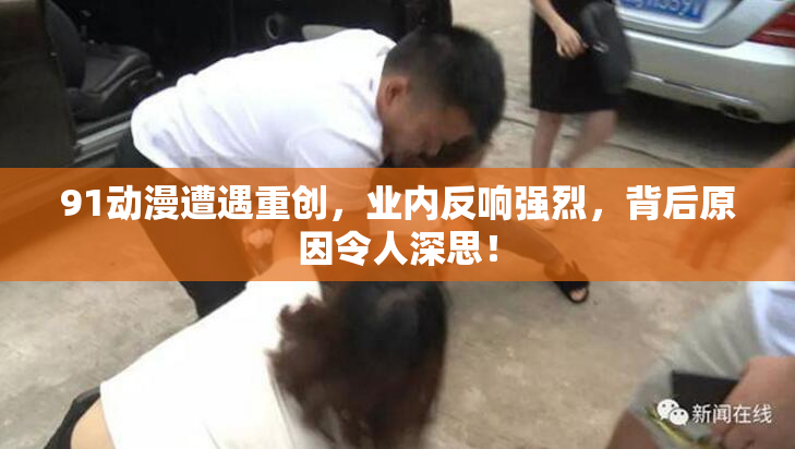 91动漫遭遇重创，业内反响强烈，背后原因令人深思！