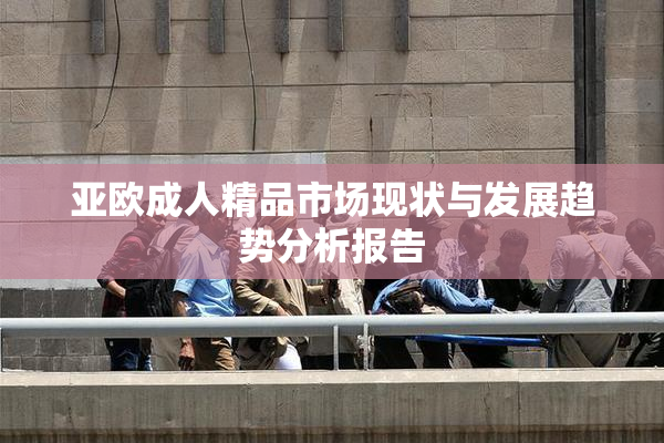 亚欧成人精品市场现状与发展趋势分析报告