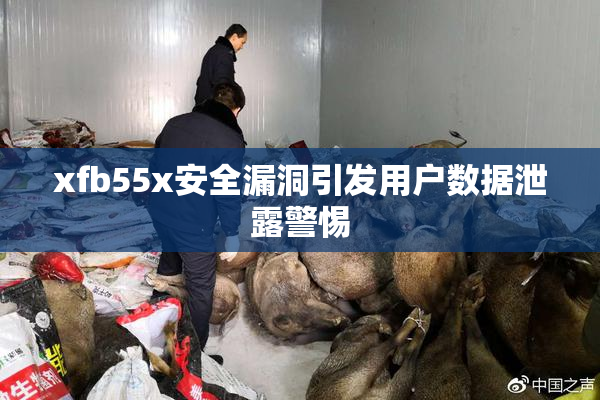 xfb55x安全漏洞引发用户数据泄露警惕