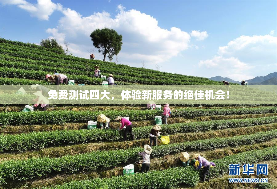 免费测试四大，体验新服务的绝佳机会！