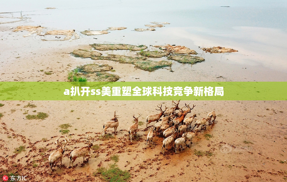 a扒开ss美重塑全球科技竞争新格局