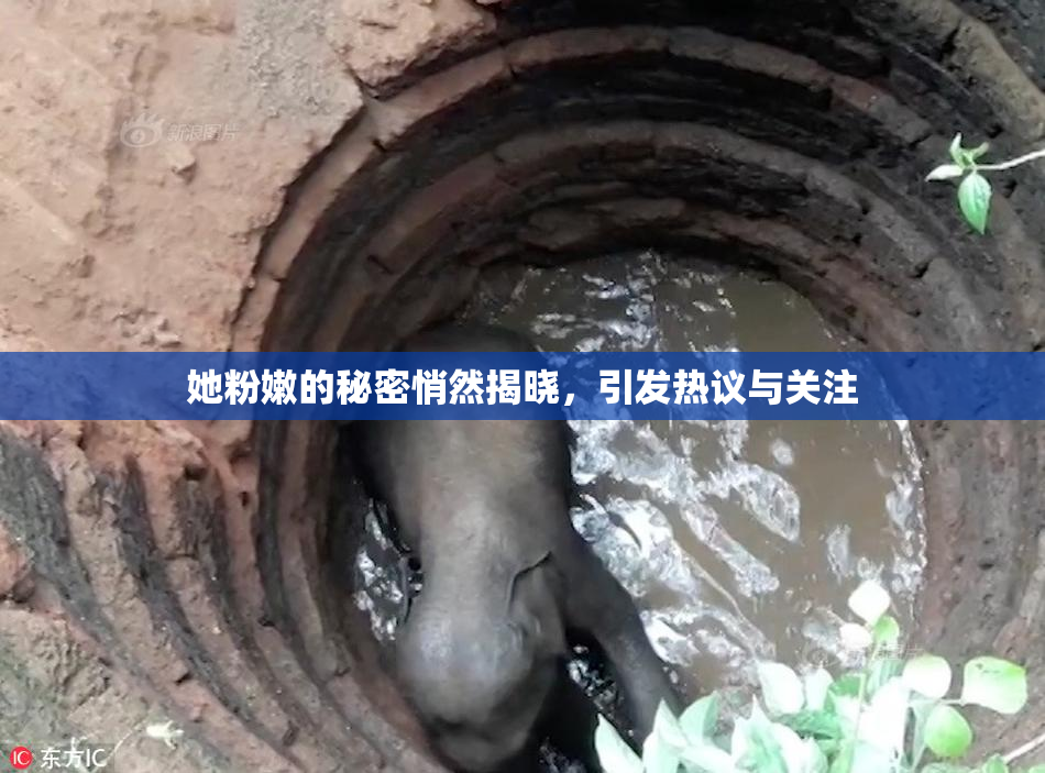 她粉嫩的秘密悄然揭晓，引发热议与关注