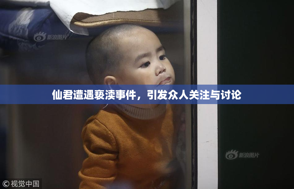 仙君遭遇亵渎事件，引发众人关注与讨论