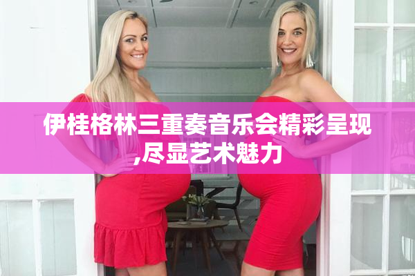伊桂格林三重奏音乐会精彩呈现,尽显艺术魅力
