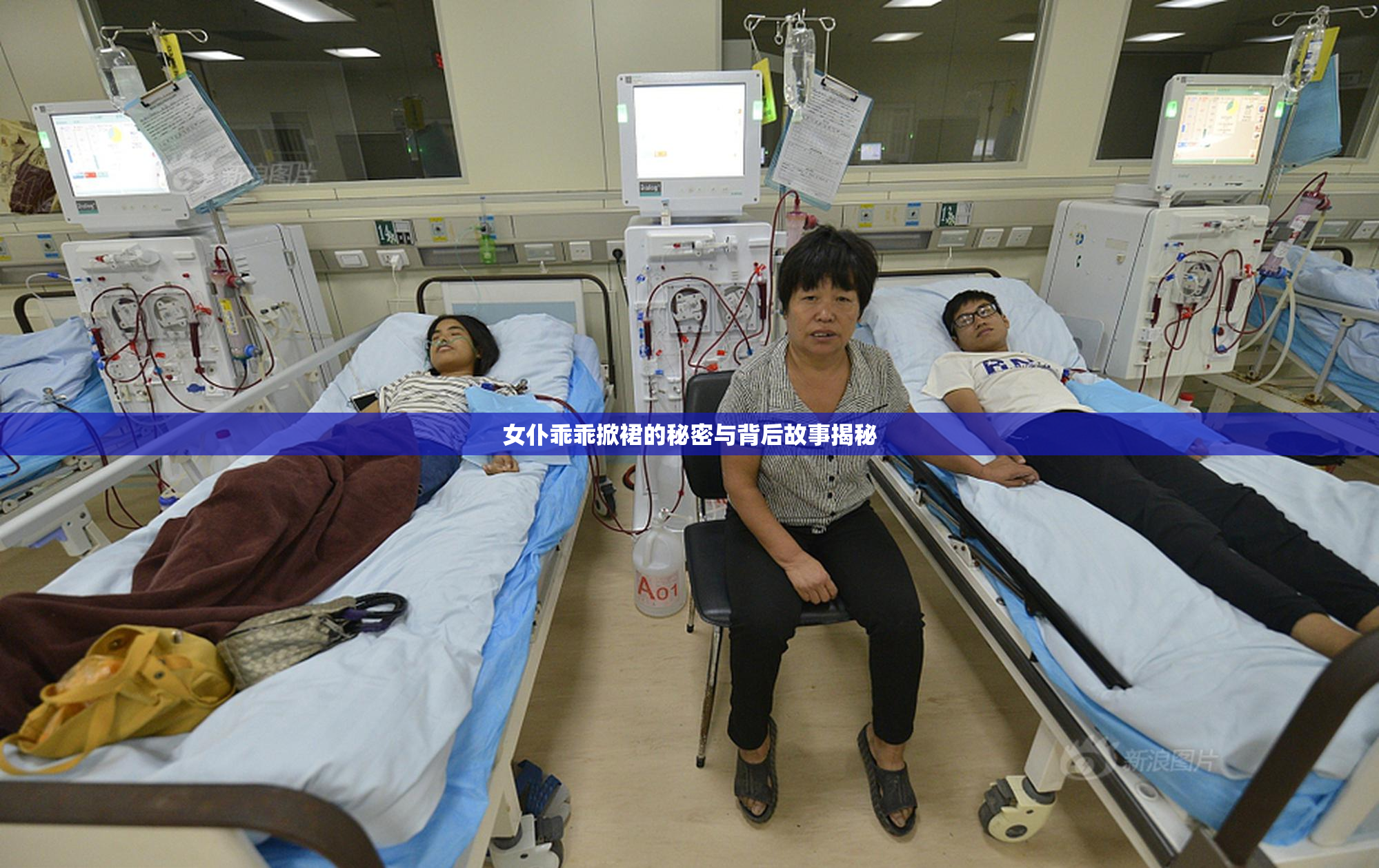 女仆乖乖掀裙的秘密与背后故事揭秘
