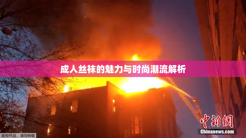 成人丝袜的魅力与时尚潮流解析