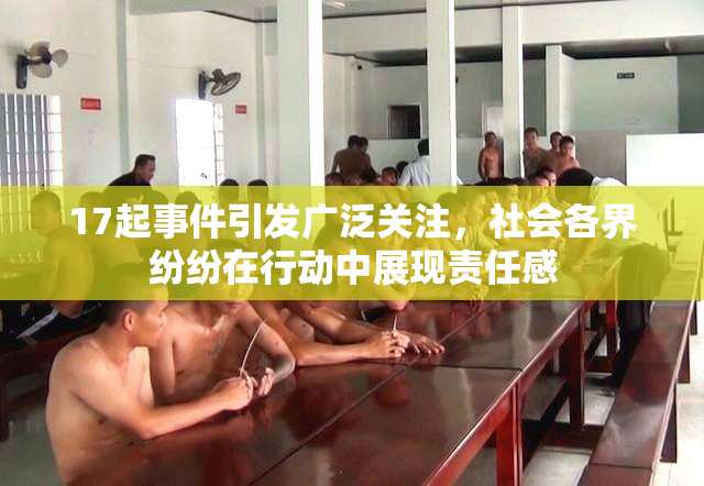 17起事件引发广泛关注，社会各界纷纷在行动中展现责任感