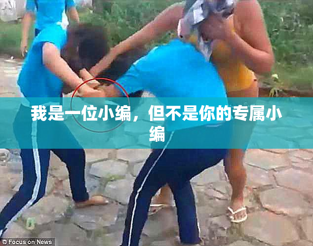 我是一位小编，但不是你的专属小编