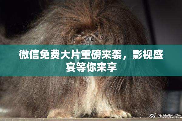 微信免费大片重磅来袭，影视盛宴等你来享