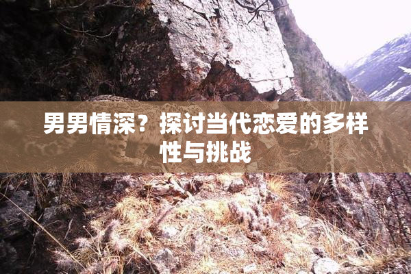 男男情深？探讨当代恋爱的多样性与挑战