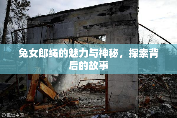 兔女郎绳的魅力与神秘，探索背后的故事