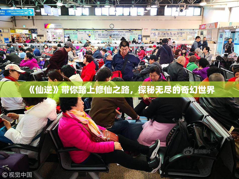 《仙逆》带你踏上修仙之路，探秘无尽的奇幻世界
