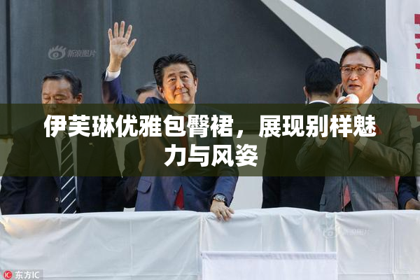 伊芙琳优雅包臀裙，展现别样魅力与风姿