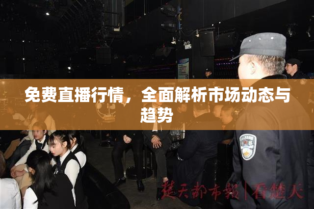 免费直播行情，全面解析市场动态与趋势